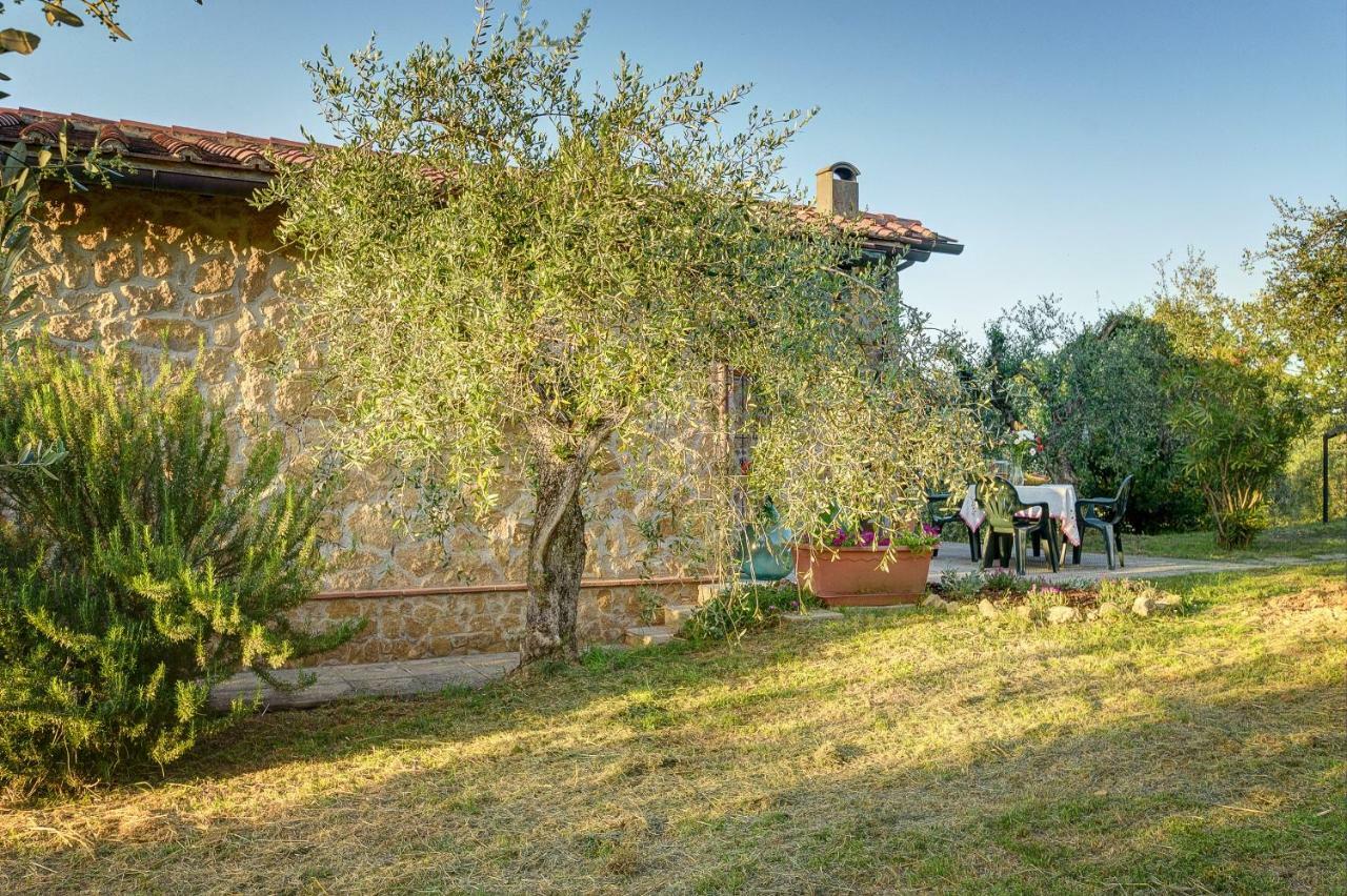 Tuscan Roots Villa La Croce Bagian luar foto