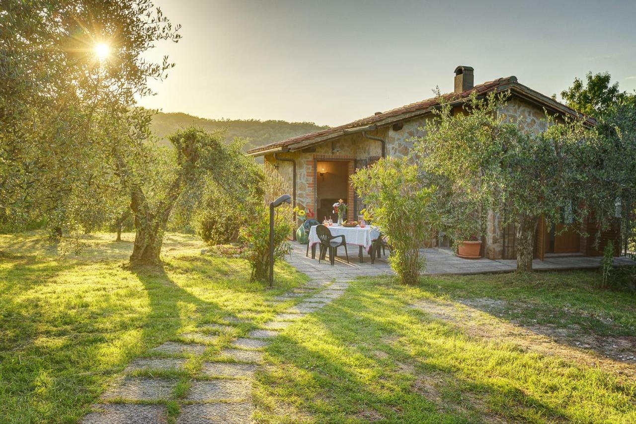 Tuscan Roots Villa La Croce Bagian luar foto